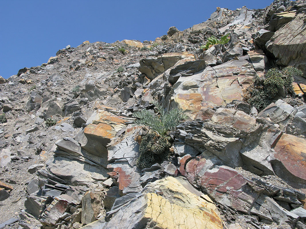 Большой Утриш, гора Солдатская, image of landscape/habitat.