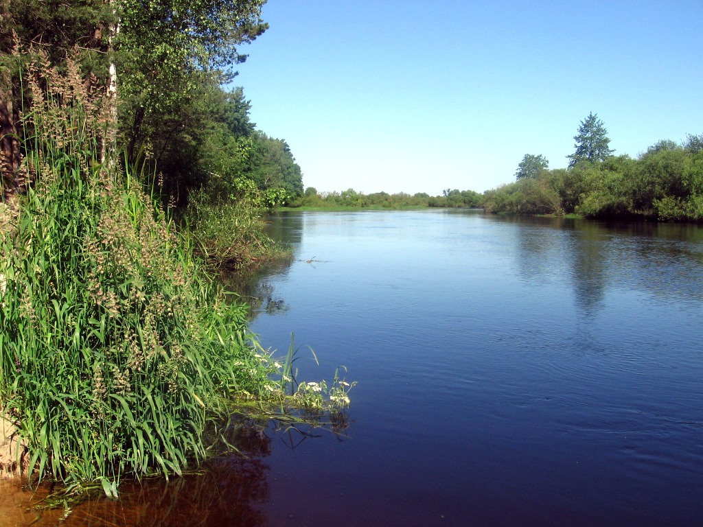 Белино, image of landscape/habitat.