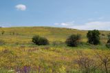 Image of landscape