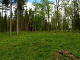 Image of landscape