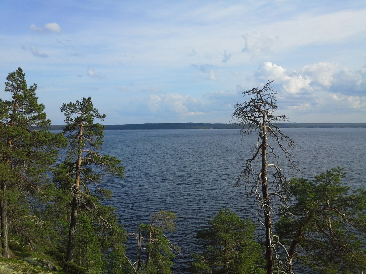 Беломорская Биостанция МГУ, image of landscape/habitat.