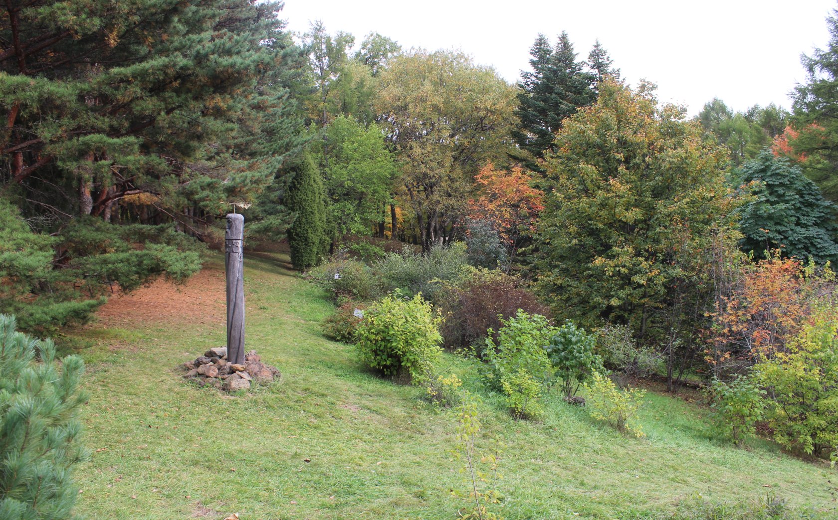 Дендрарий Горнотаёжной станции, image of landscape/habitat.