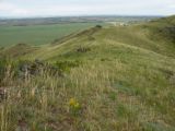 Озёрки, image of landscape/habitat.