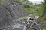 Image of landscape