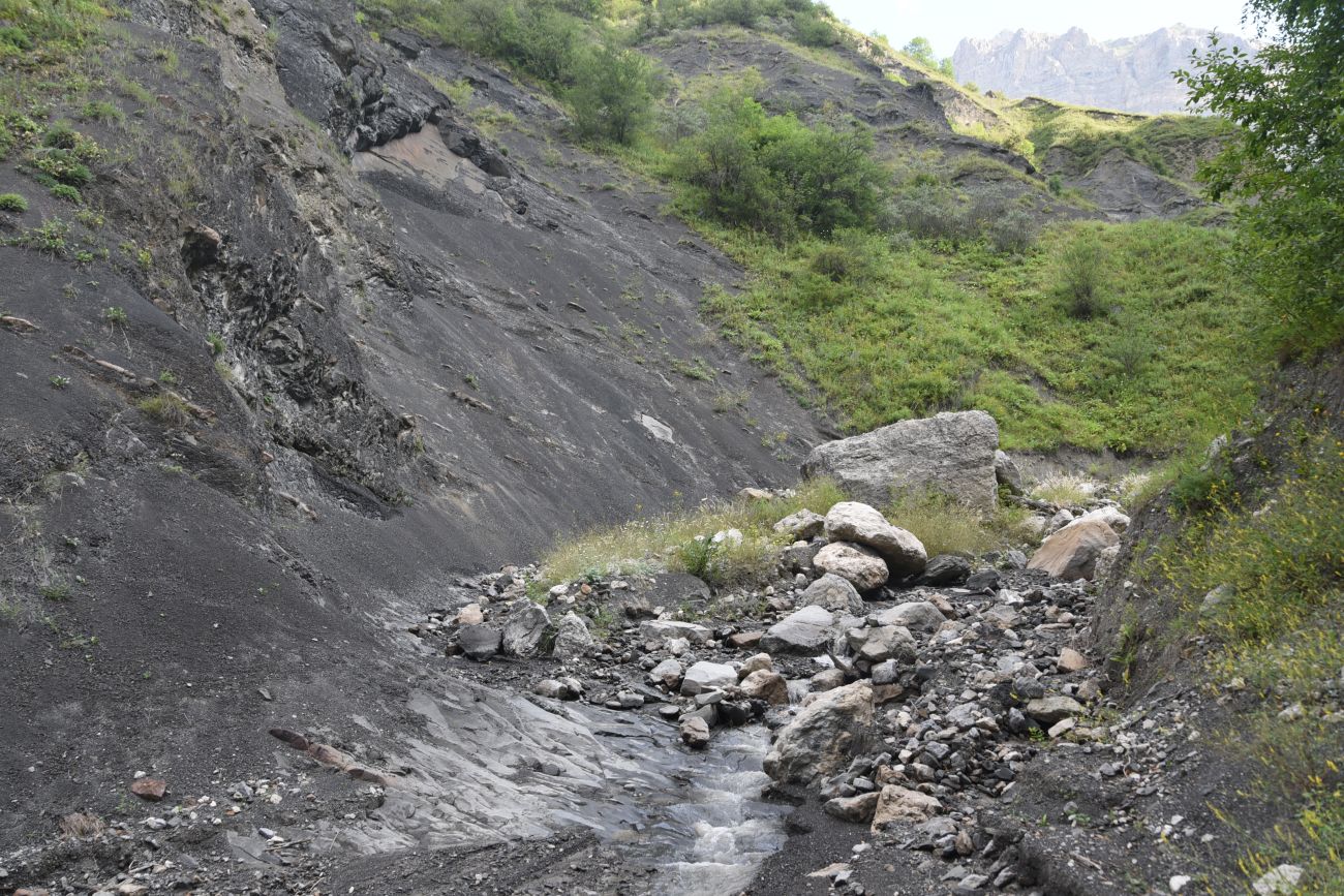 Ещё один левый приток Цесиахк, image of landscape/habitat.
