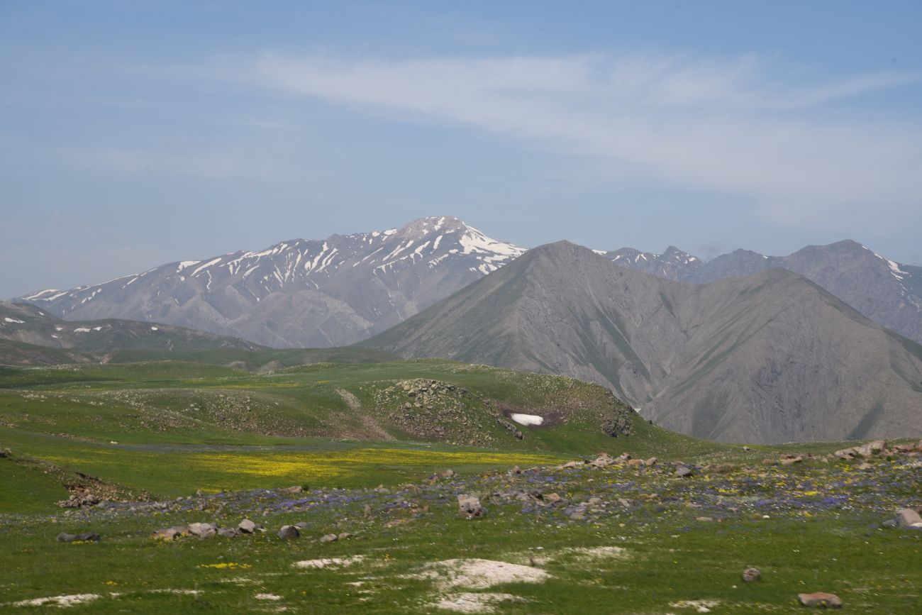 Локальный перевал, image of landscape/habitat.