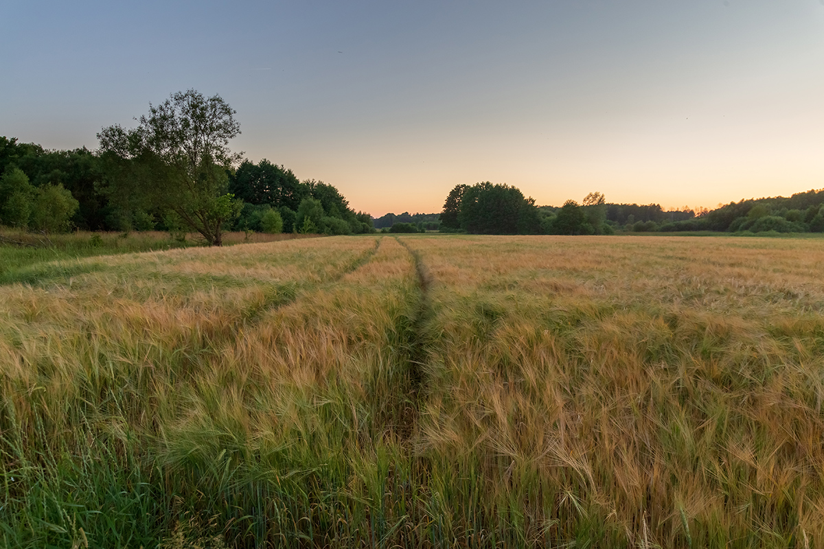 Бобинка и окрестности, image of landscape/habitat.