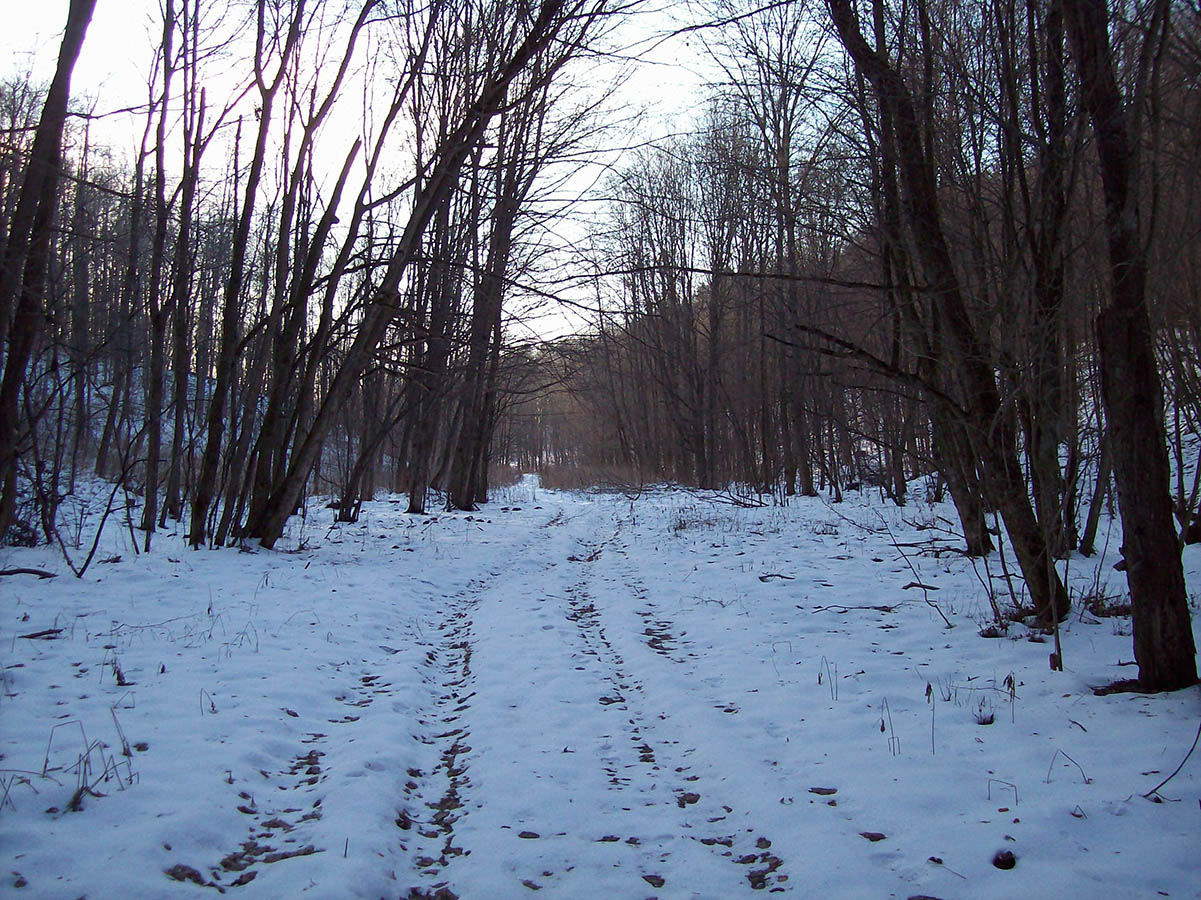 Дача Рокоссовского, image of landscape/habitat.
