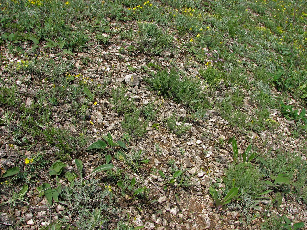 "Ларинский", image of landscape/habitat.