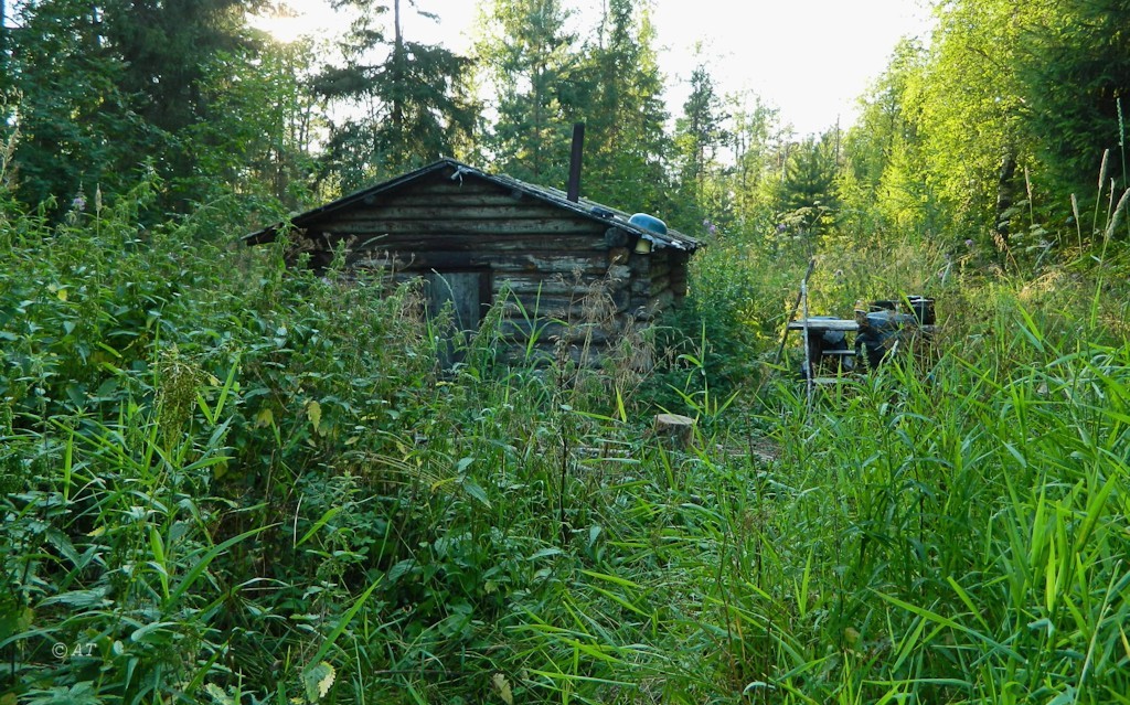 Низовья Унежмы, image of landscape/habitat.