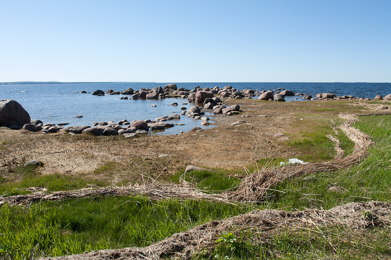 Мыс Дубовский, image of landscape/habitat.