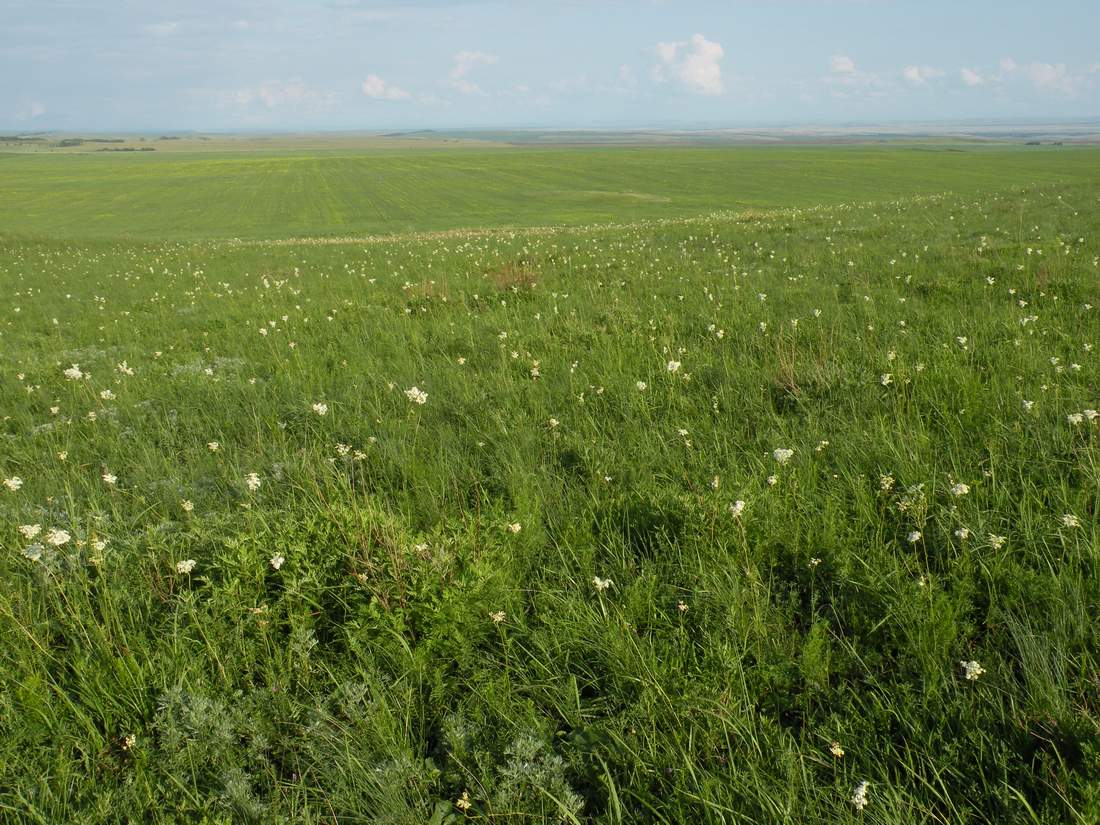 Озёрки, изображение ландшафта.