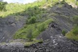 Image of landscape