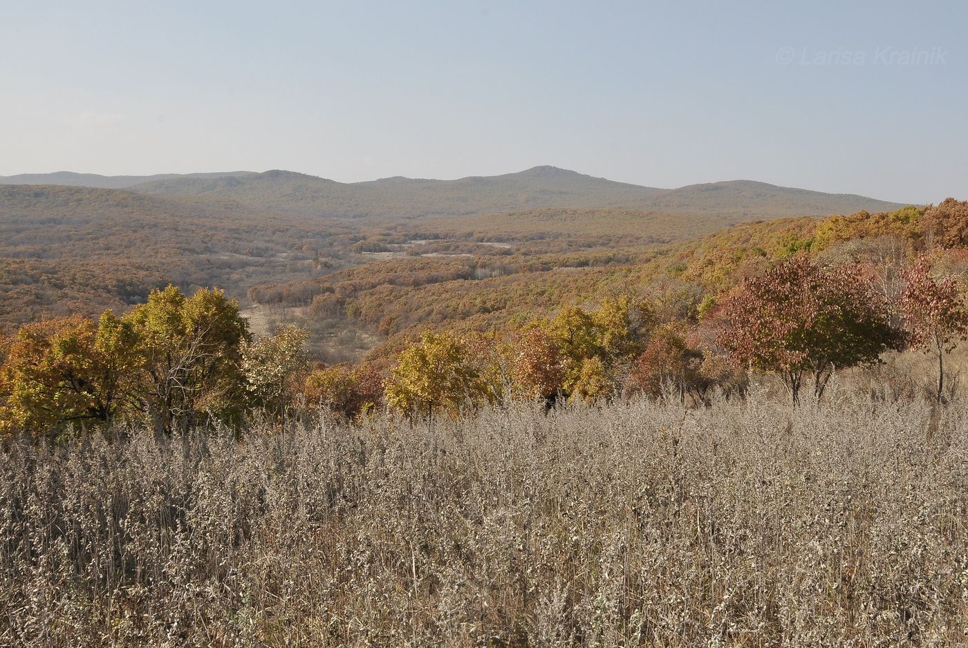 Монакино, image of landscape/habitat.