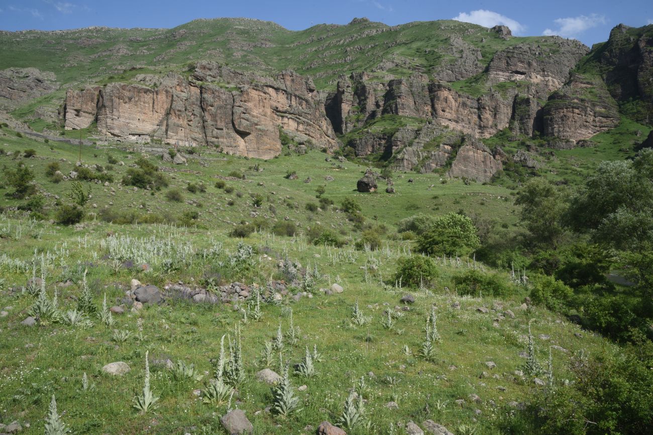 Урочище Тавкветула, image of landscape/habitat.