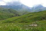 Гора Ерыдаг, image of landscape/habitat.