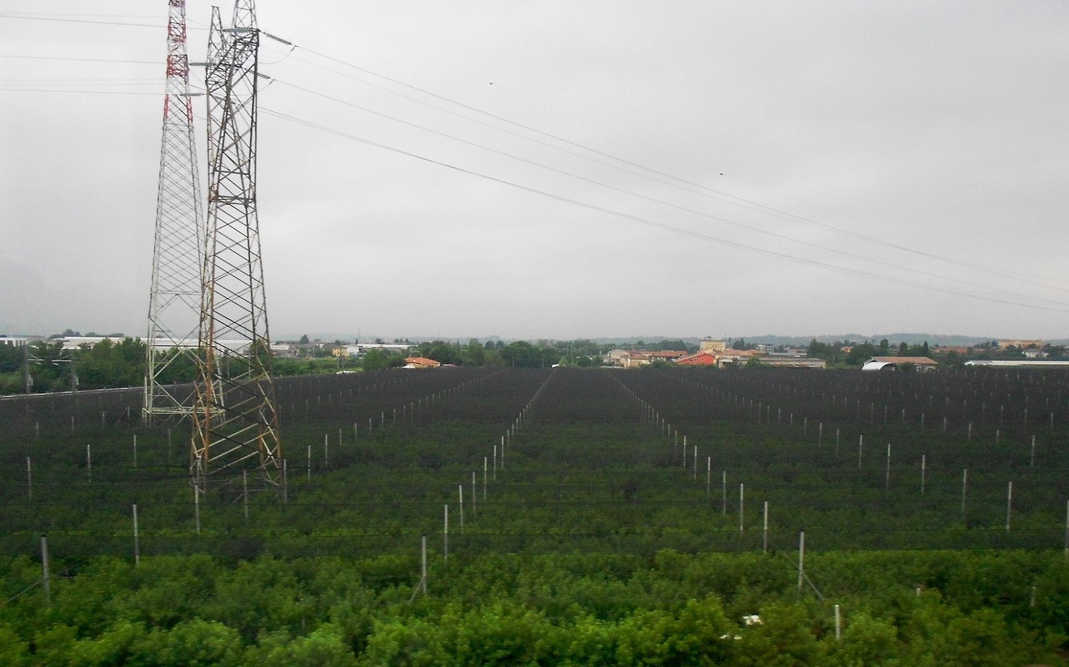 Верона и окрестности, image of landscape/habitat.