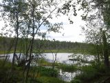 Image of landscape
