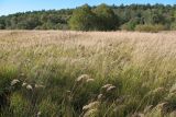Долина реки Речма, image of landscape/habitat.