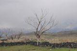Юго-западное подножие Арарата, image of landscape/habitat.