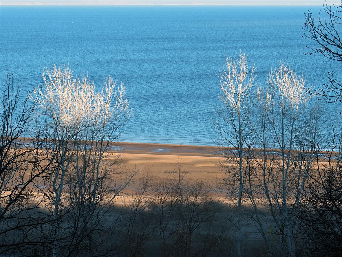 Верхняя Терраса и окрестности, image of landscape/habitat.