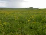 Image of landscape