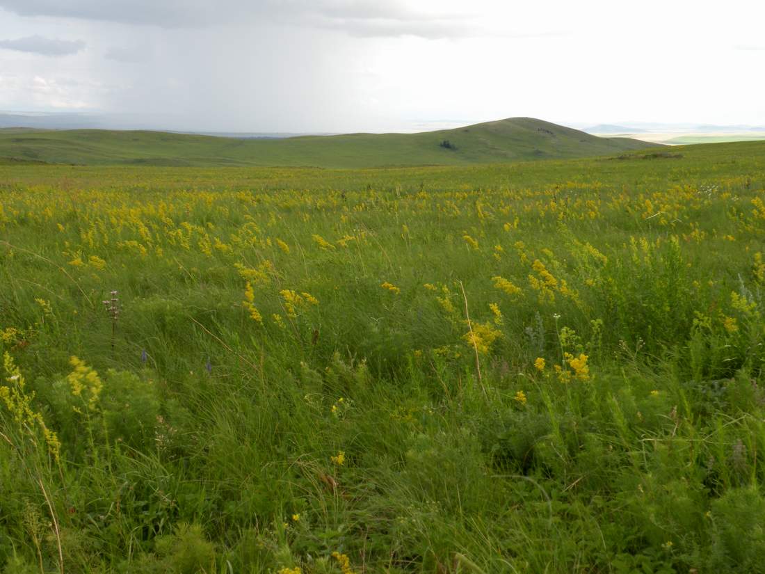 Озёрки, image of landscape/habitat.