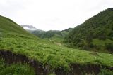 Image of landscape