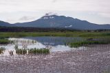 Озеро Серебряное, image of landscape/habitat.