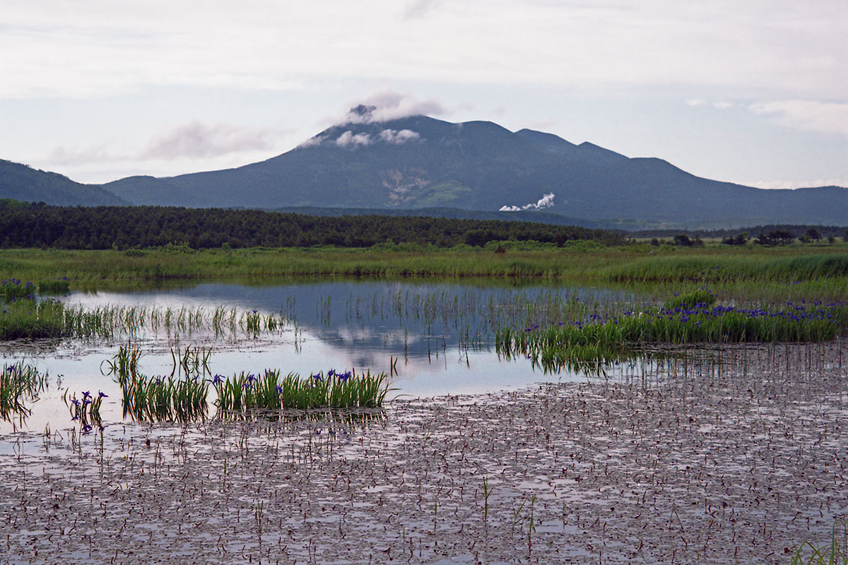 Озеро Серебряное, изображение ландшафта.