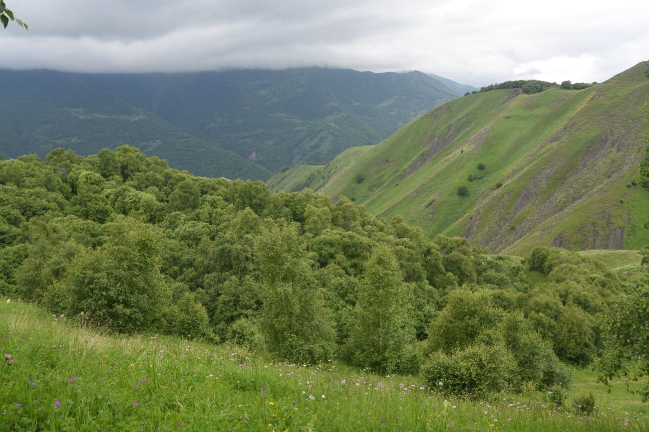 Хиндушты, image of landscape/habitat.