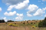Image of landscape