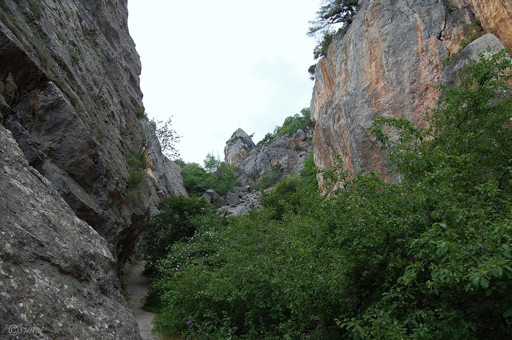 Никитская расселина, изображение ландшафта.