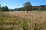 Долина реки Речма, image of landscape/habitat.