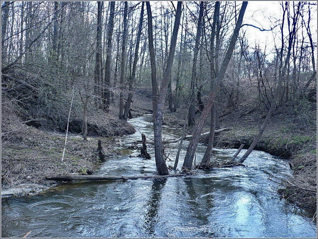 Соколова поляна, image of landscape/habitat.