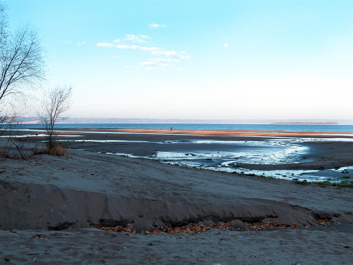 Верхняя Терраса и окрестности, image of landscape/habitat.