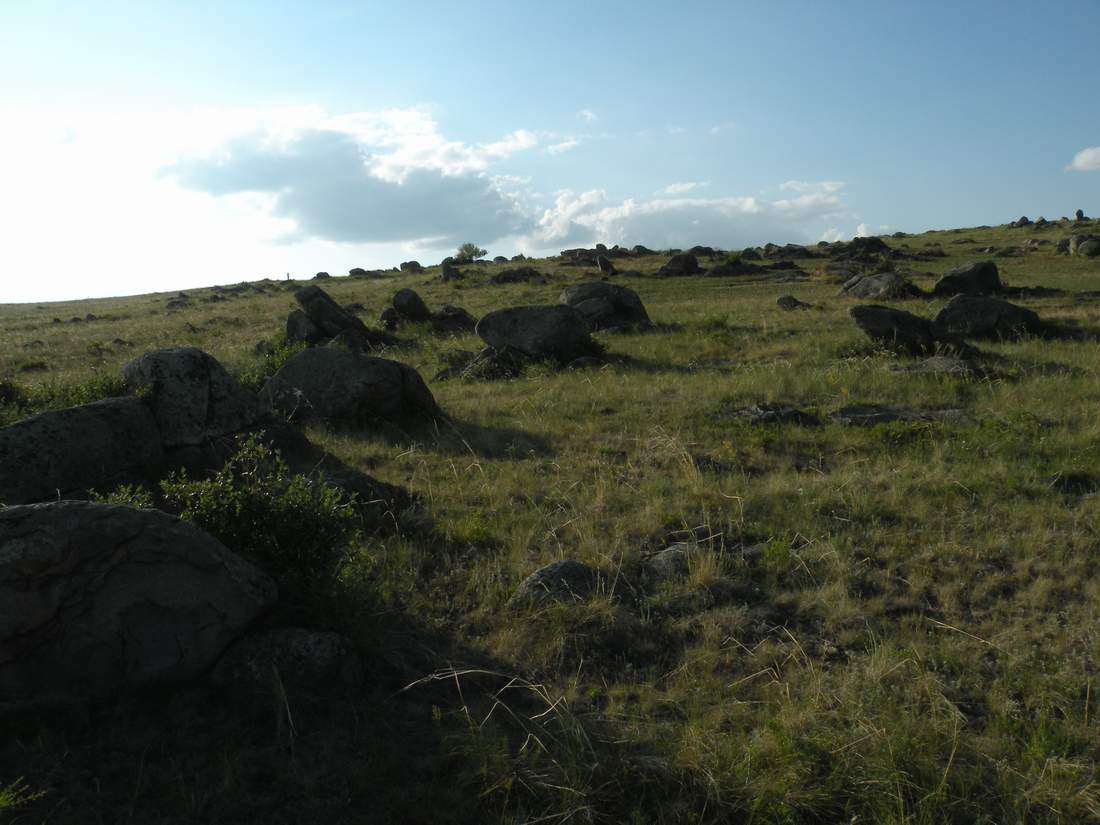 Озёрки, image of landscape/habitat.