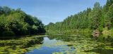 Image of landscape