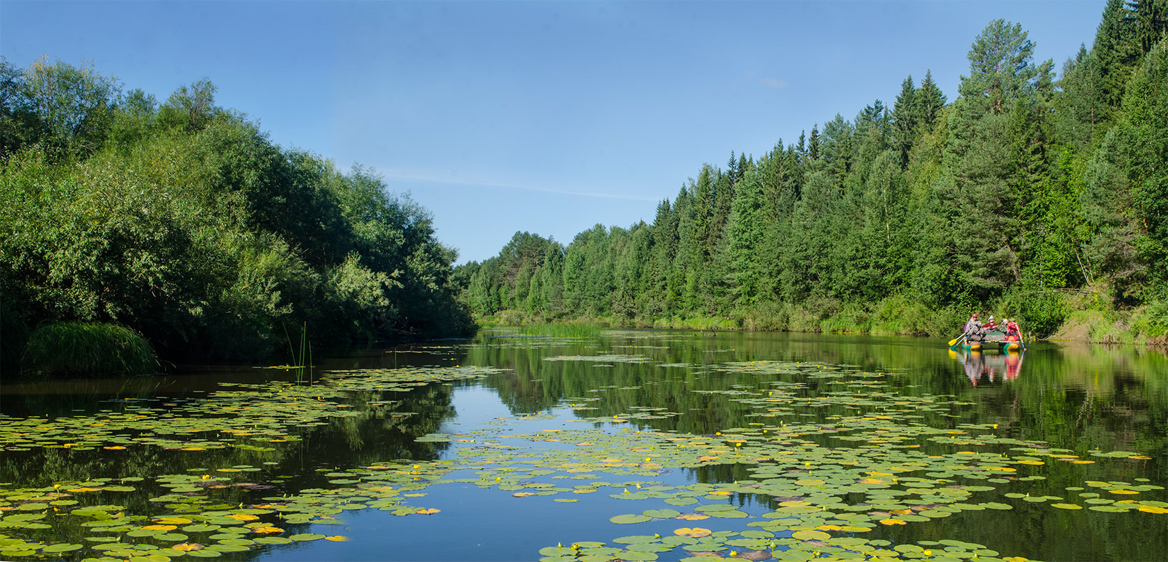 Окрестности Порубово, image of landscape/habitat.