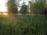 Шлюз №2 канала им. Москвы, изображение ландшафта.
