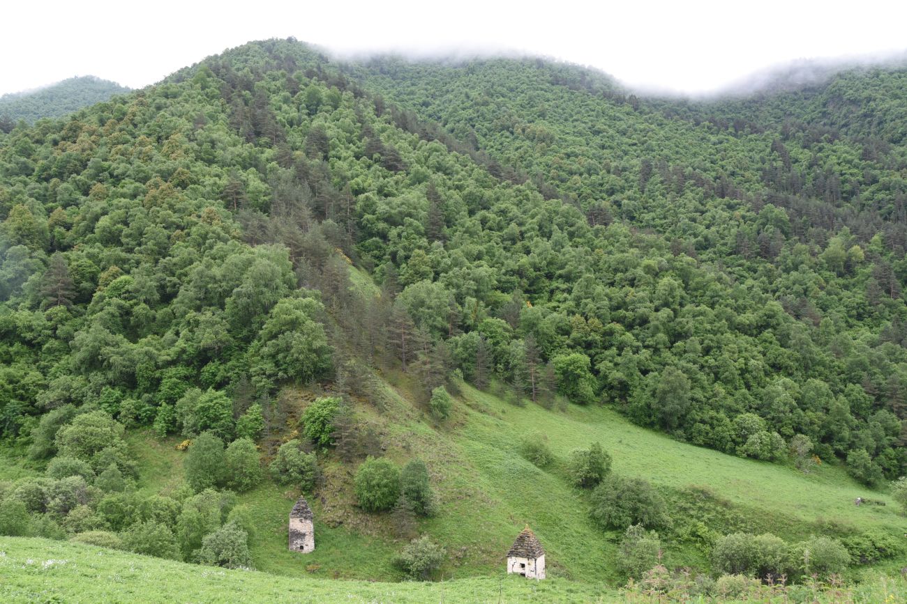 Окрестности урочища Цори, image of landscape/habitat.