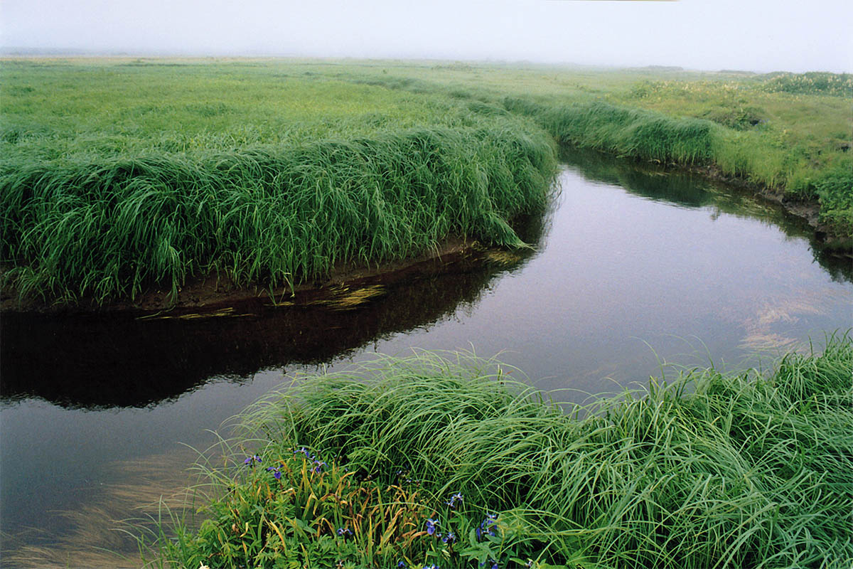 Озеро Серебряное, image of landscape/habitat.