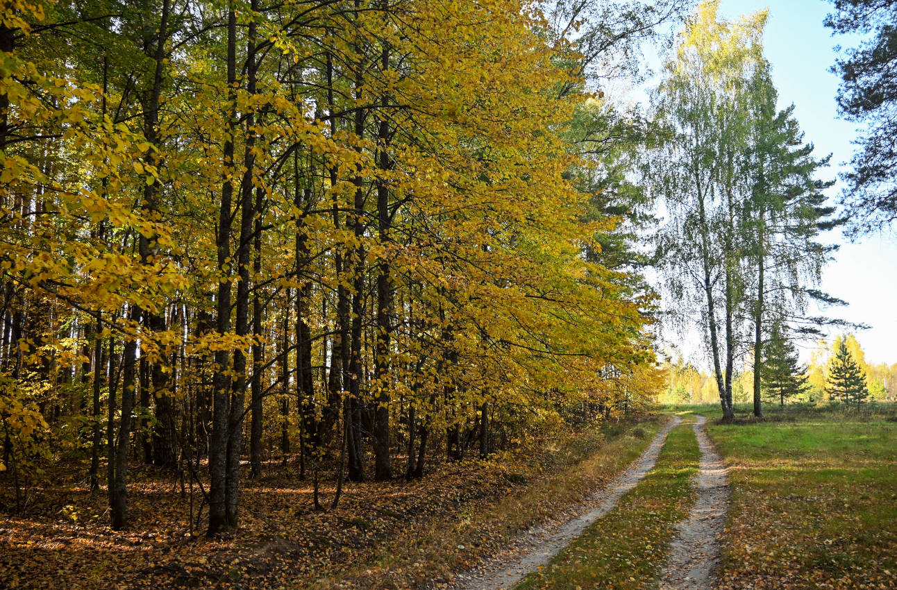 Окрестности села Марково, image of landscape/habitat.