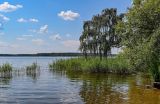 Учинское водохранилище, изображение ландшафта.