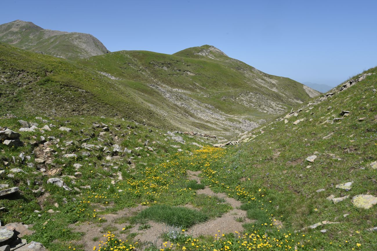 4 км от Цумандинского перевала, image of landscape/habitat.