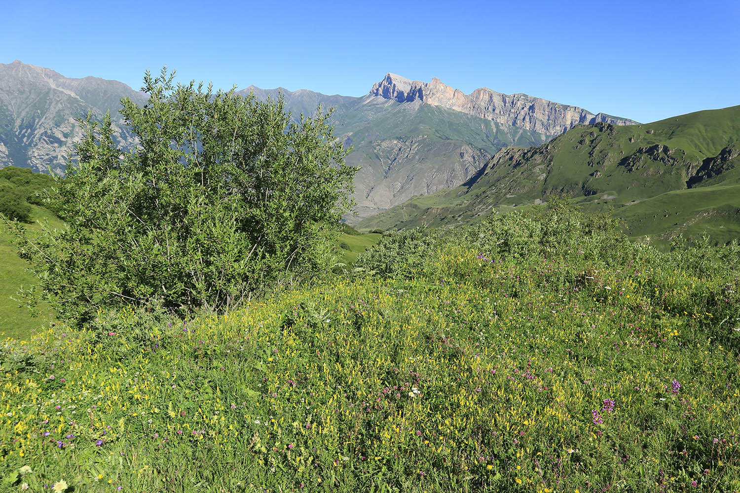 Бекаирбаши, image of landscape/habitat.