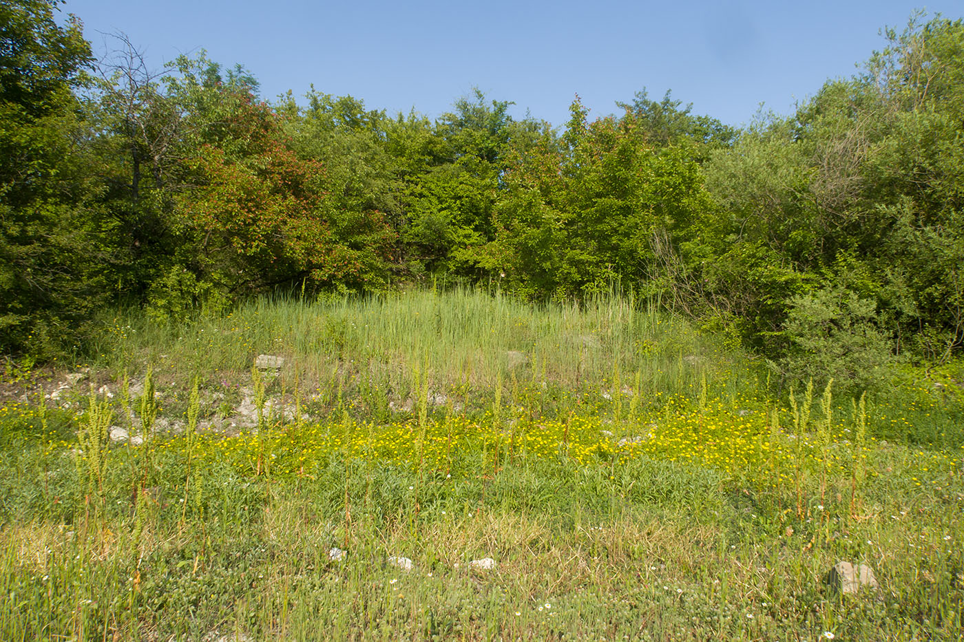 Озерцо на дне карьера, image of landscape/habitat.
