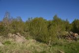Image of landscape