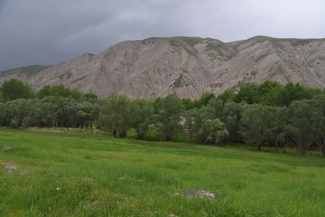 Кучанис, изображение ландшафта.