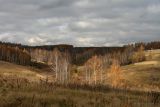 Протасово и окрестности, image of landscape/habitat.